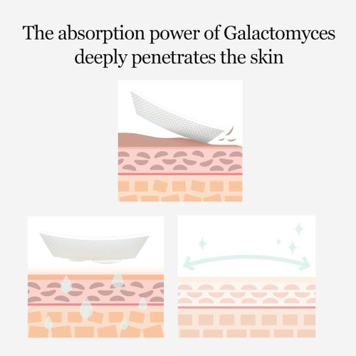 mixsoon galactomyces toner pad pure ingredient oriented skin - 2